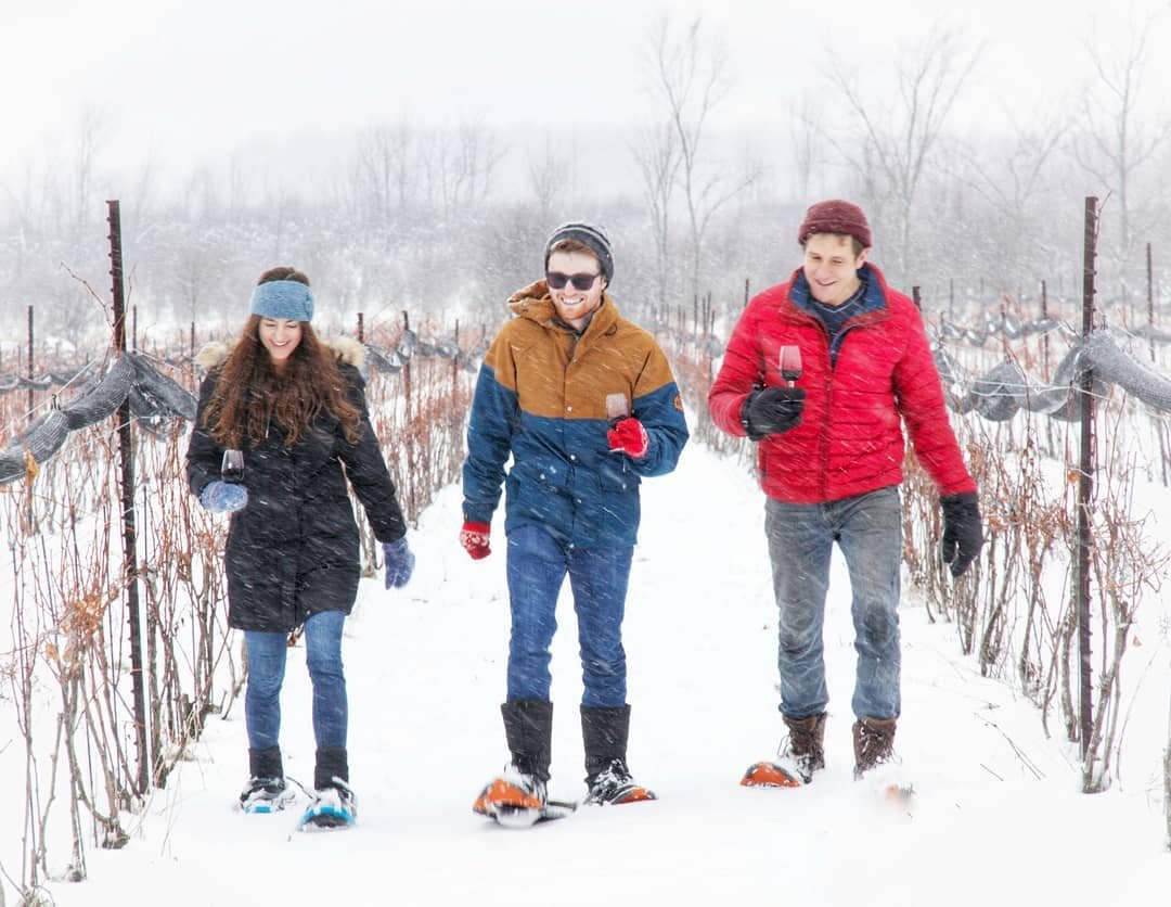 Coffin Ridge Winter Vineyard Tours