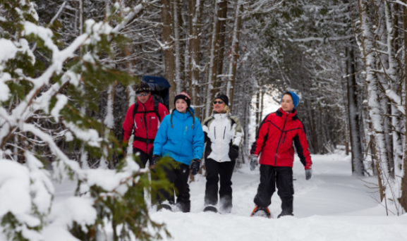 Snowshoe the Bruce Trail Network
