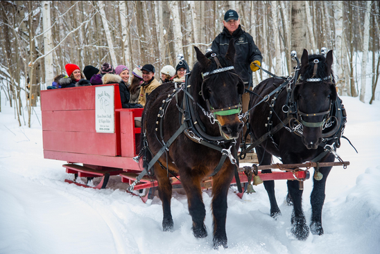 Dual Acres Horse Drawn Sleigh Rides